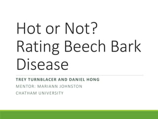 Hot or Not?
Rating Beech Bark
Disease
TREY TURNBLACER AND DANIEL HONG
MENTOR: MARIANN JOHNSTON
CHATHAM UNIVERSITY
 
