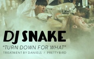 DJ SNAKE
“TURN DOWN FOR WHAT”
TREATMENT BY DANIELS / PRETTYBIRD
 