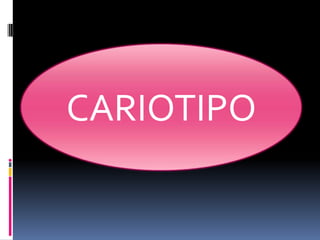 CARIOTIPO

 