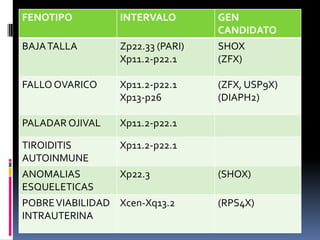 FENOTIPO

INTERVALO

BAJA TALLA

Zp22.33 (PARI)
Xp11.2-p22.1

GEN
CANDIDATO
SHOX
(ZFX)

FALLO OVARICO

Xp11.2-p22.1
Xp13-p26

(ZFX, USP9X)
(DIAPH2)

PALADAR OJIVAL

Xp11.2-p22.1

TIROIDITIS
Xp11.2-p22.1
AUTOINMUNE
ANOMALIAS
Xp22.3
ESQUELETICAS
POBRE VIABILIDAD Xcen-Xq13.2
INTRAUTERINA

(SHOX)

(RPS4X)

 