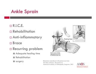 Common_Orthopedic_Conditions.pdf