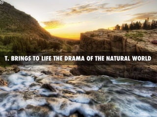 Turner and constable