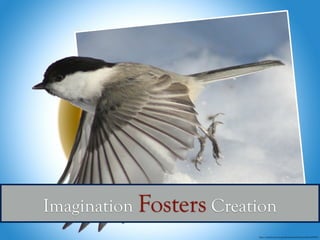Imagination Fosters Creation
https://pixabay.com/en/poecile-montanus-bird-out-of-bound-94720/
 