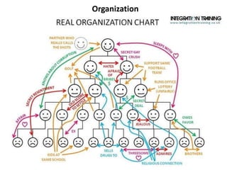 Organization
 