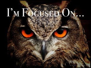 https://pixabay.com/en/owl-bird-eyes-eagle-owl-birds-50267/
I’m Focused On…
 