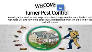 Turner Pest Control
You will get the services that are purely authentic & genuine because the dedicated
workforce will always there to cater to you the best help which is hard to find in the
market for pests.
To
 