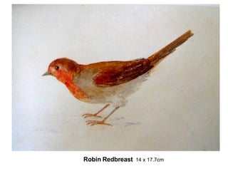 Robin   Redbreast   14 x 17.7cm 