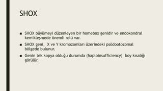 SHOX
■ SHOX büyümeyi düzenleyen bir homebox genidir ve endokondral
kemikleşmede önemli rolü var.
■ SHOX geni, X ve Y kromozomları üzerindeki psödootozomal
bölgede bulunur.
■ Genin tek kopya olduğu durumda (haploinsufficiency) boy kısalığı
görülür.
 