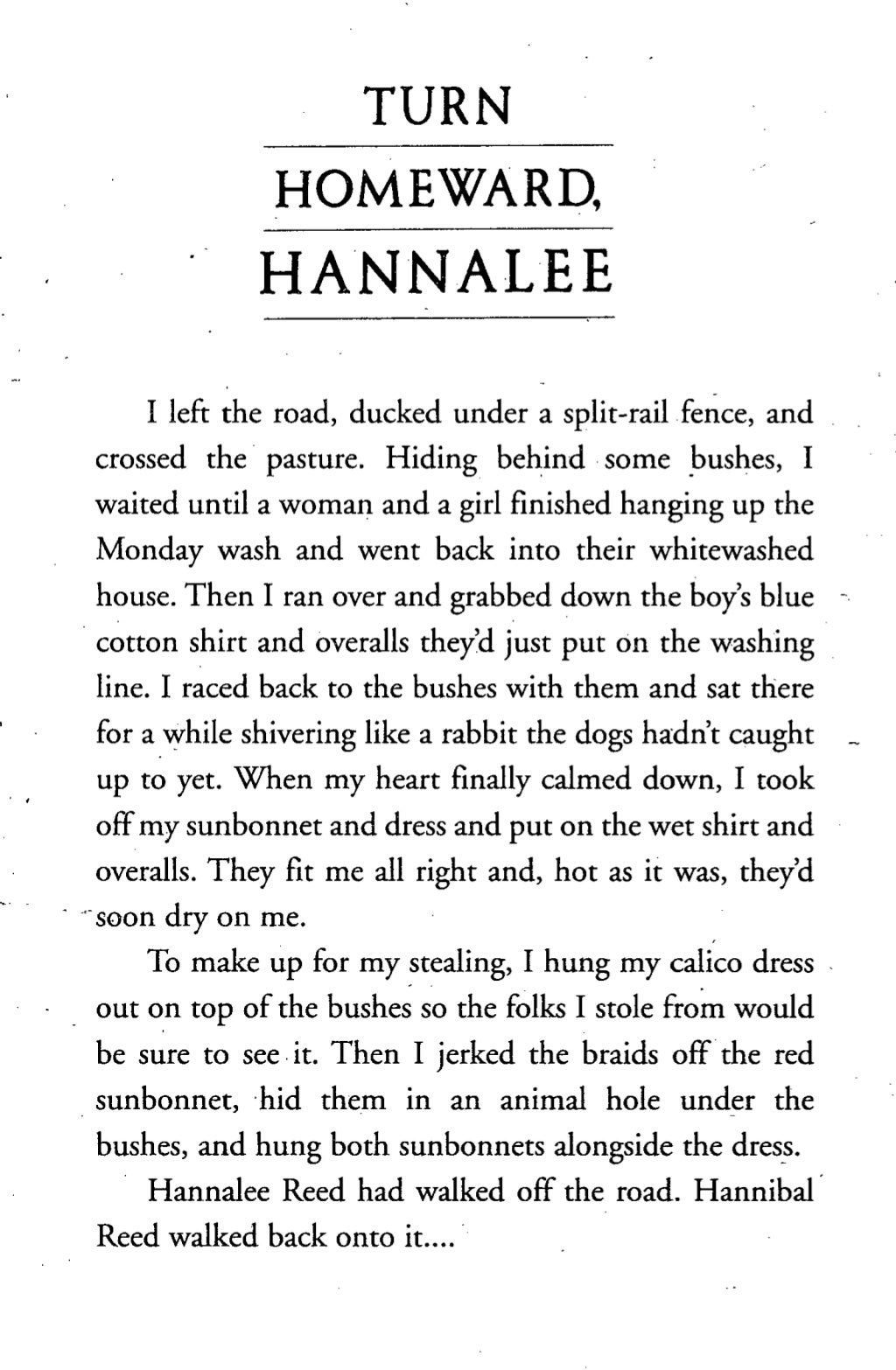 Turn homeward hannalee book (3)