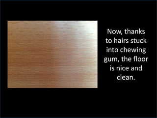 Now, thanks
to hairs stuck
into chewing
gum, the floor
is nice and
clean.
 