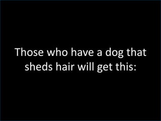 Those who have a dog that
sheds hair will get this:
 