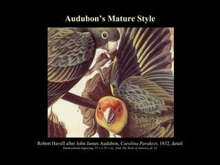 Turning Heads: Audubon’s Mature Style Alan C. Braddock Robert Havell after John James Audubon,  Carolina Parakeet , 1832, ...