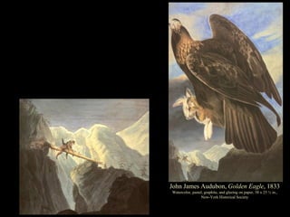 John James Audubon,  Golden Eagle , 1833 Watercolor, pastel, graphite, and glazing on paper, 38 x 25 ½ in., New-York Histo...