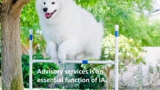 Advisory services is an
essential function of IA.
 