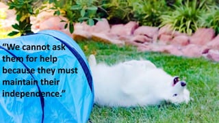 “We cannot ask
them for help
because they must
maintain their
independence.”
 