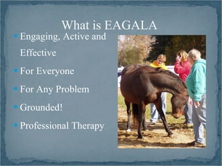 What is EAGALA
 Engaging, Active and

 Effective
 For Everyone

 For Any Problem

 Grounded!

 Professional Therapy
 