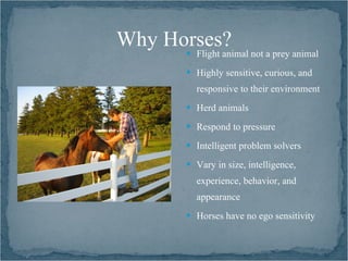 Why Horses?
       Flight animal not a prey animal

       Highly sensitive, curious, and

        responsive to their environment
       Herd animals

       Respond to pressure

       Intelligent problem solvers

       Vary in size, intelligence,

        experience, behavior, and
        appearance
       Horses have no ego sensitivity
 