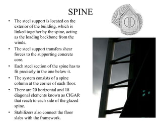 SPINE
• The steel support is located on the
exterior of the building, which is
linked together by the spine, acting
as the loading backbone from the
winds.
• The steel support transfers shear
forces to the supporting concrete
core.
• Each steel section of the spine has to
fit precisely in the one below it.
• The system consists of a spine
column at the corner of each floor.
• There are 20 horizontal and 18
diagonal elements known as CIGAR
that reach to each side of the glazed
spine.
• Stabilizers also connect the floor
slabs with the framework.
 