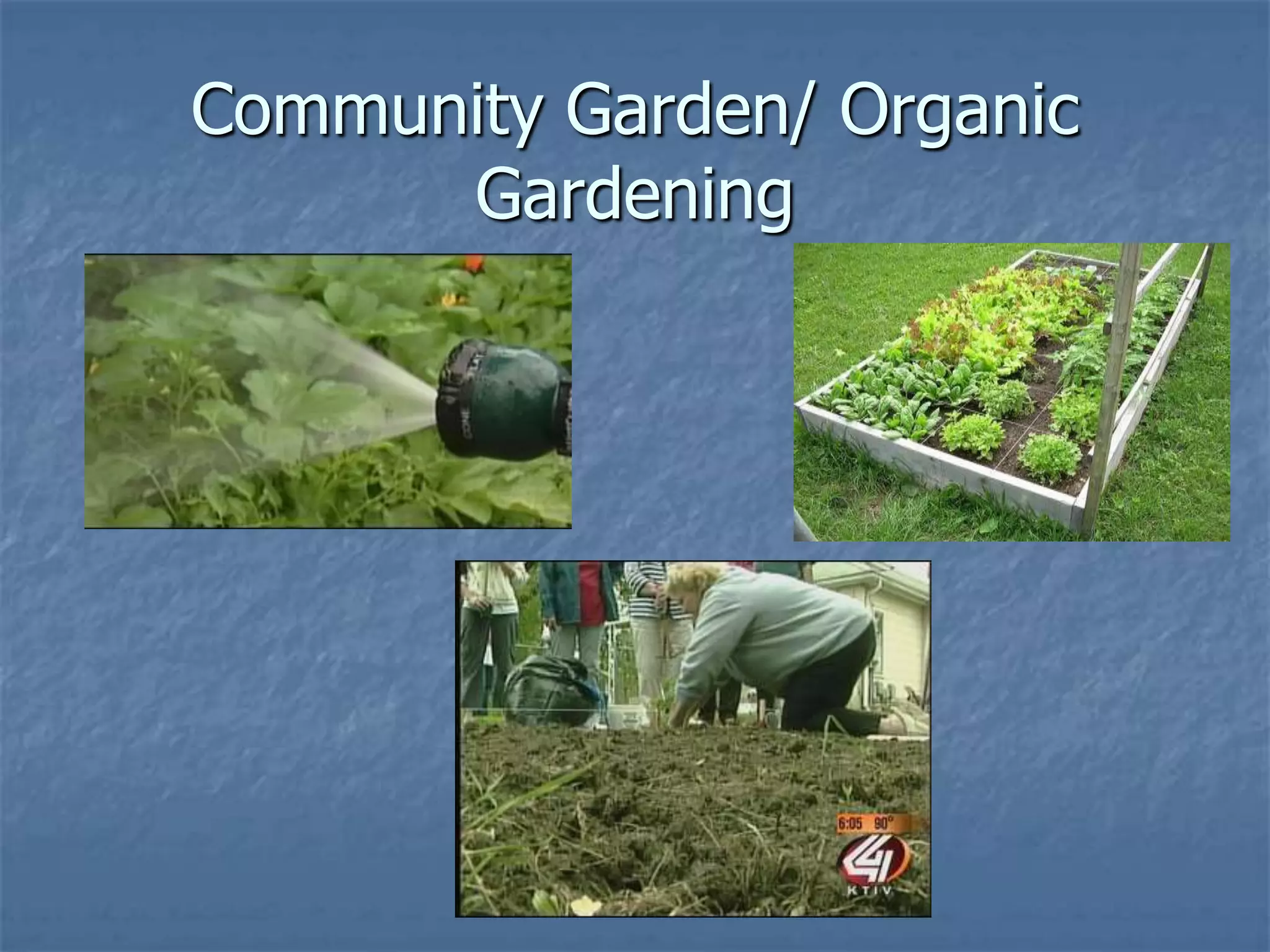 Community Garden/ Organic
      Gardening
 