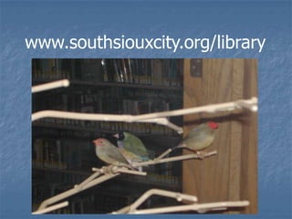 www.southsiouxcity.org/library
 