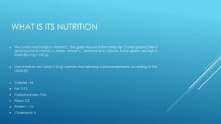 WHAT IS ITS NUTRITION
 The turnip's root is high in vitamin C. The green leaves of the turnip top ("turnip greens") are a
good source of vitamin A, folate, vitamin C, vitamin K and calcium. Turnip greens are high in
lutein (8.5 mg / 100 g).
 One medium raw turnip (122 g) contains the following nutritional elements according to the
USDA:[2]
 Calories : 34
 Fat: 0.12
 Carbohydrates: 7.84
 Fibers: 2.2
 Protein: 1.10
 Cholesterol: 0
 