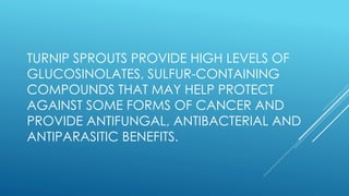 TURNIP SPROUTS PROVIDE HIGH LEVELS OF
GLUCOSINOLATES, SULFUR-CONTAINING
COMPOUNDS THAT MAY HELP PROTECT
AGAINST SOME FORMS OF CANCER AND
PROVIDE ANTIFUNGAL, ANTIBACTERIAL AND
ANTIPARASITIC BENEFITS.
 