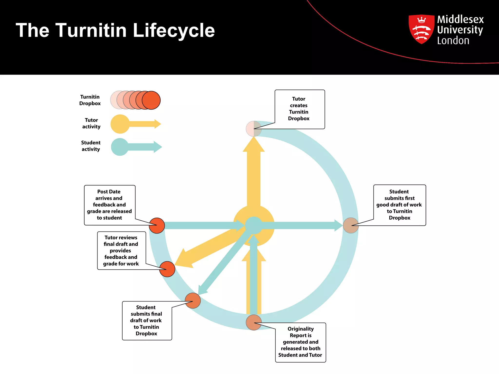 The Turnitin Lifecycle
 