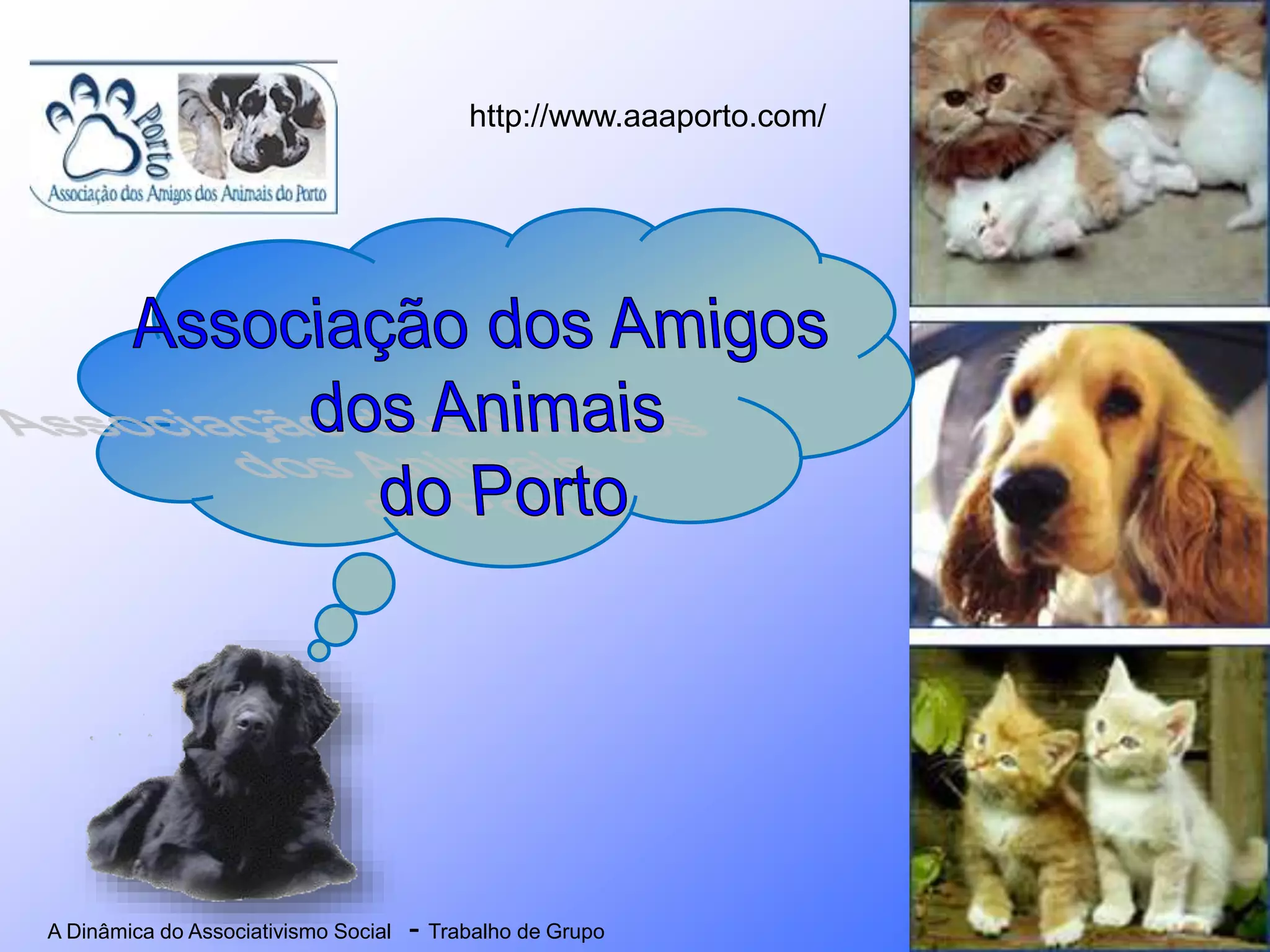 A Dinâmica do Associativismo Social - Trabalho de Grupo
http://www.aaaporto.com/
 