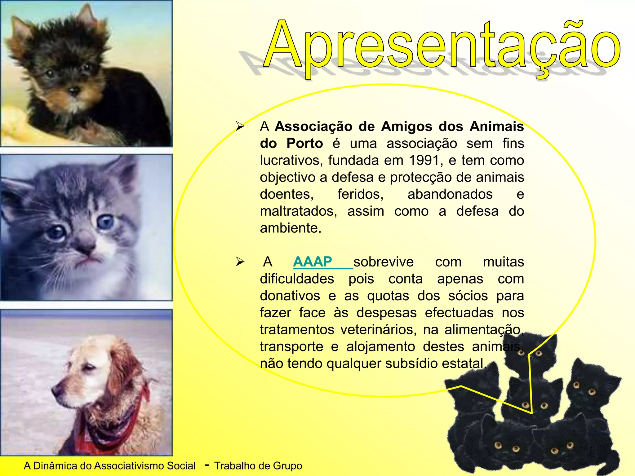 A Dinâmica do Associativismo Social - Trabalho de Grupo
 A Associação de Amigos dos Animais
do Porto é uma associação sem fins
lucrativos, fundada em 1991, e tem como
objectivo a defesa e protecção de animais
doentes, feridos, abandonados e
maltratados, assim como a defesa do
ambiente.
 A AAAP sobrevive com muitas
dificuldades pois conta apenas com
donativos e as quotas dos sócios para
fazer face às despesas efectuadas nos
tratamentos veterinários, na alimentação,
transporte e alojamento destes animais,
não tendo qualquer subsídio estatal.
 