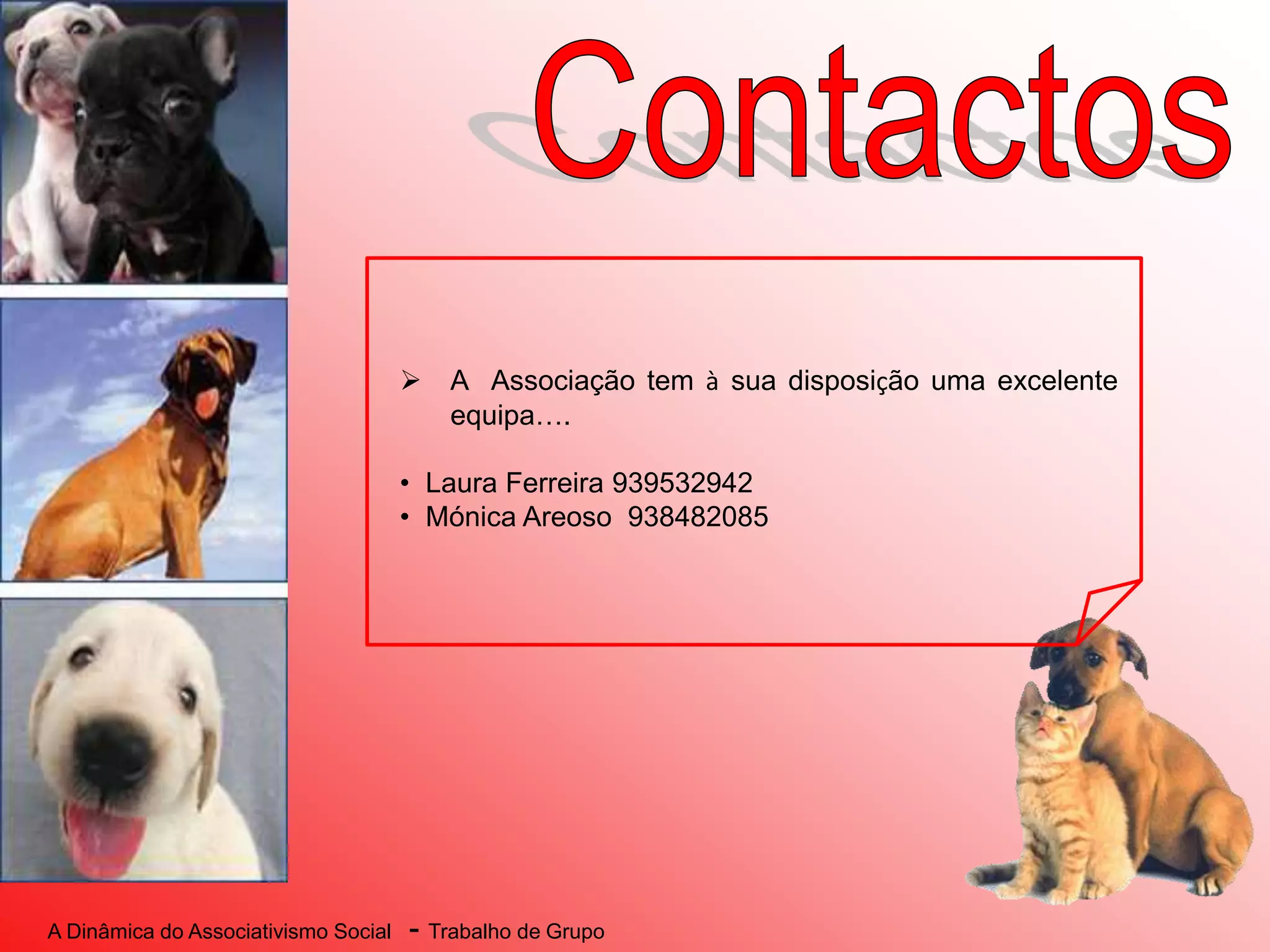 A Dinâmica do Associativismo Social - Trabalho de Grupo
 A Associação tem à sua disposição uma excelente
equipa….
• Laura Ferreira 939532942
• Mónica Areoso 938482085
 