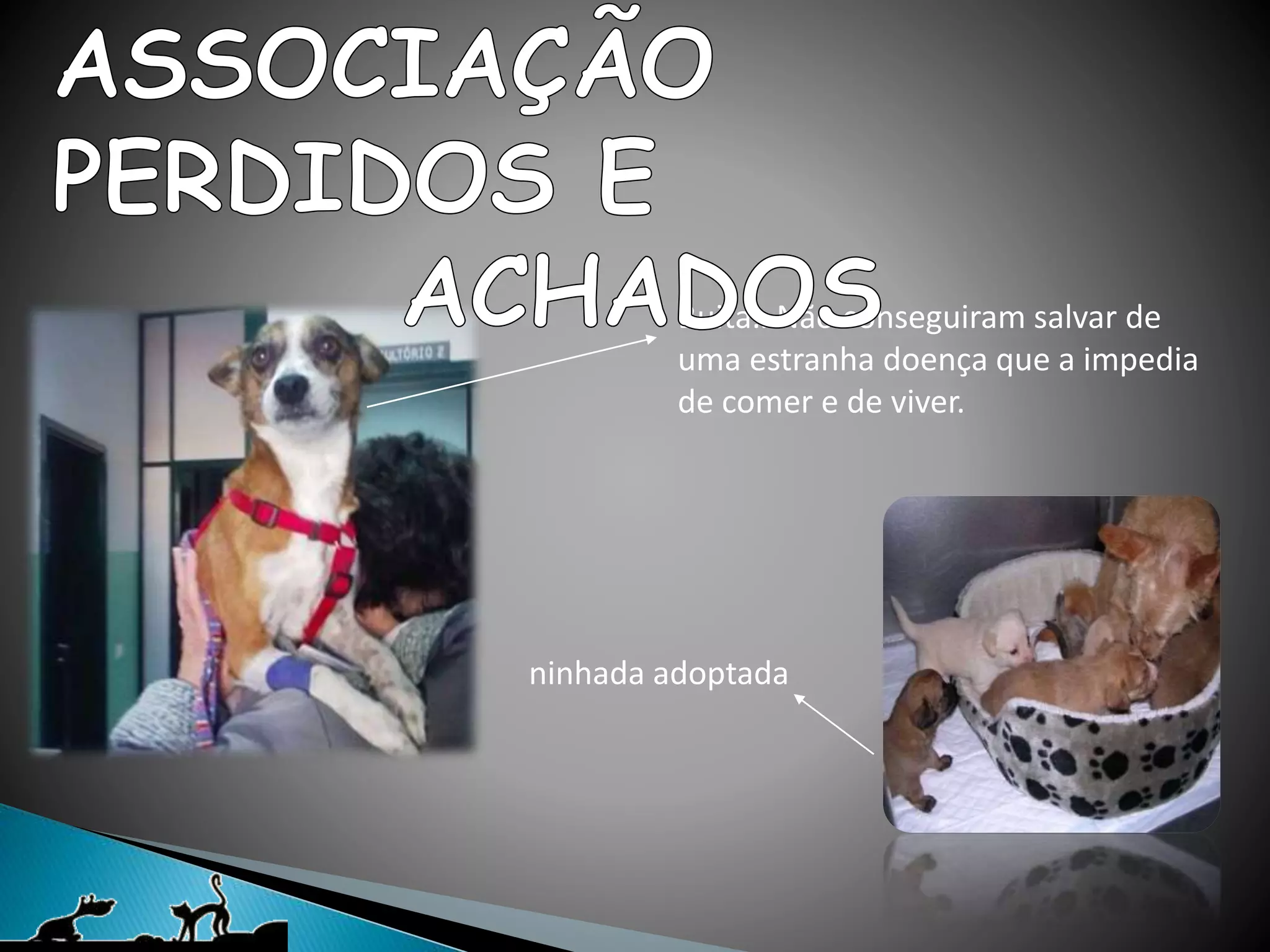 Buita…Não conseguiram salvar de
uma estranha doença que a impedia
de comer e de viver.
ninhada adoptada
 
