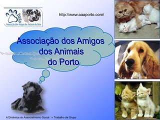 A Dinâmica do Associativismo Social - Trabalho de Grupo
http://www.aaaporto.com/
 