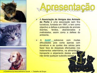 A Dinâmica do Associativismo Social - Trabalho de Grupo
 A Associação de Amigos dos Animais
do Porto é uma associação sem fins
lucrativos, fundada em 1991, e tem como
objectivo a defesa e protecção de animais
doentes, feridos, abandonados e
maltratados, assim como a defesa do
ambiente.
 A AAAP sobrevive com muitas
dificuldades pois conta apenas com
donativos e as quotas dos sócios para
fazer face às despesas efectuadas nos
tratamentos veterinários, na alimentação,
transporte e alojamento destes animais,
não tendo qualquer subsídio estatal.
 