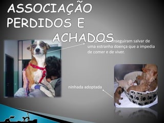 Buita…Não conseguiram salvar de
uma estranha doença que a impedia
de comer e de viver.
ninhada adoptada
 