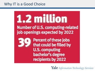 Why IT is a Good Choice
 