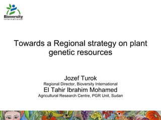 Towards a Regional strategy on plant genetic resources Jozef Turok Regional Director, Bioversity International El Tahir Ibrahim Mohamed Agricultural Research Centre, PGR Unit, Sudan 