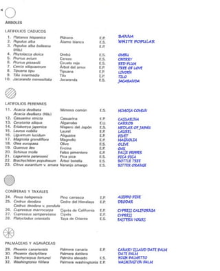 Turo Park, Barcelona - Analysis