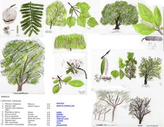 Turo Park, Barcelona - Analysis