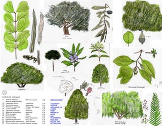 Turo Park, Barcelona - Analysis