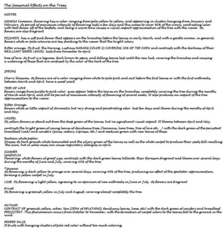 Turo Park, Barcelona - Analysis