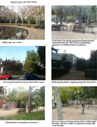 Turo Park, Barcelona - Analysis