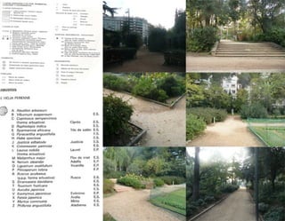 Turo Park, Barcelona - Analysis