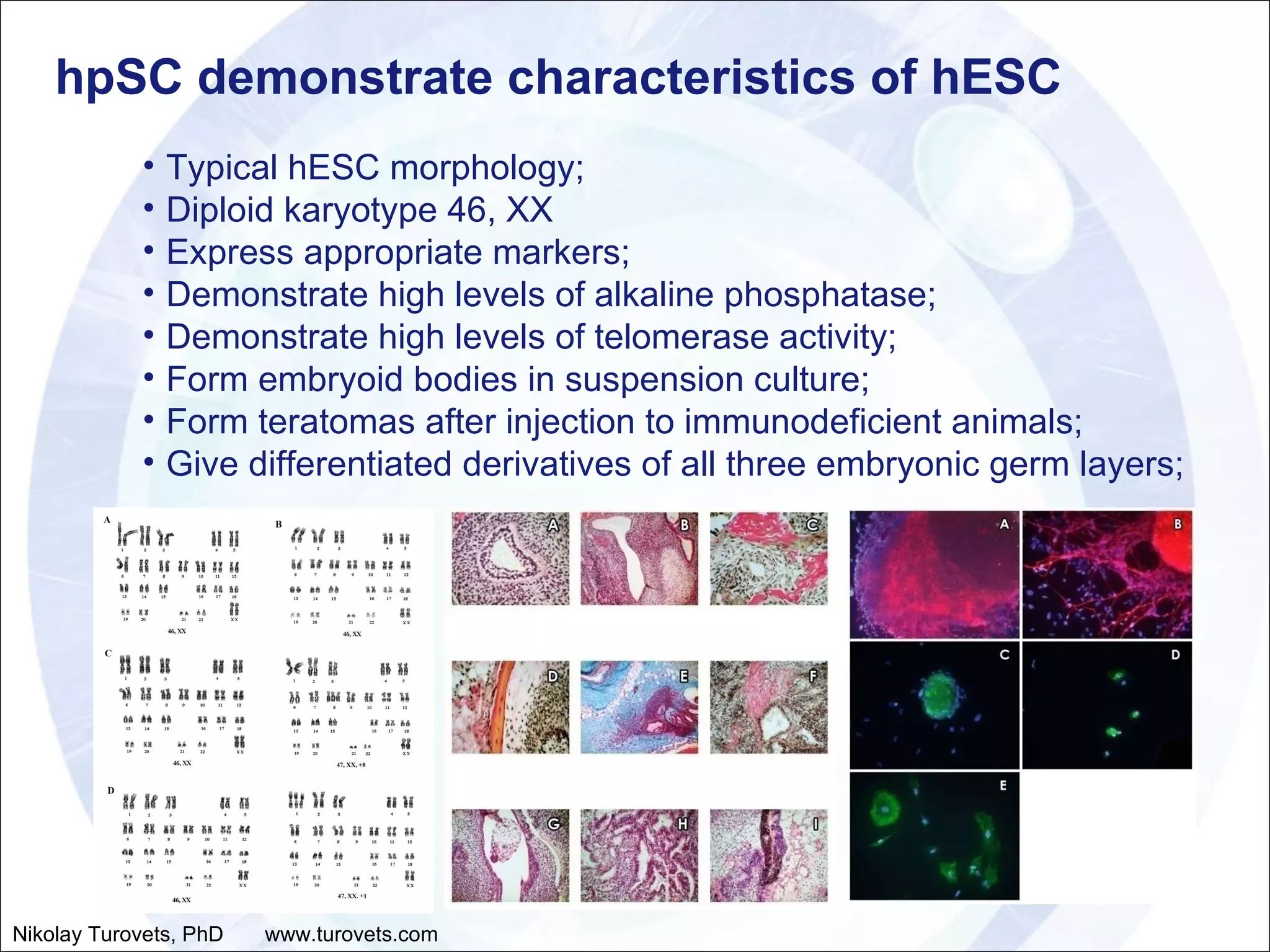 Typical hESC morphology; Diploid karyotype 46, XX Express appropriate markers; Demonstrate high levels of alkaline phosphatase; Demonstrate high levels of telomerase activity; Form embryoid bodies in suspension culture; Form teratomas after injection to immunodeficient animals;  Give differentiated derivatives of all three embryonic germ layers; hpSC demonstrate characteristics of hESC Nikolay Turovets, PhD  www.turovets.com 