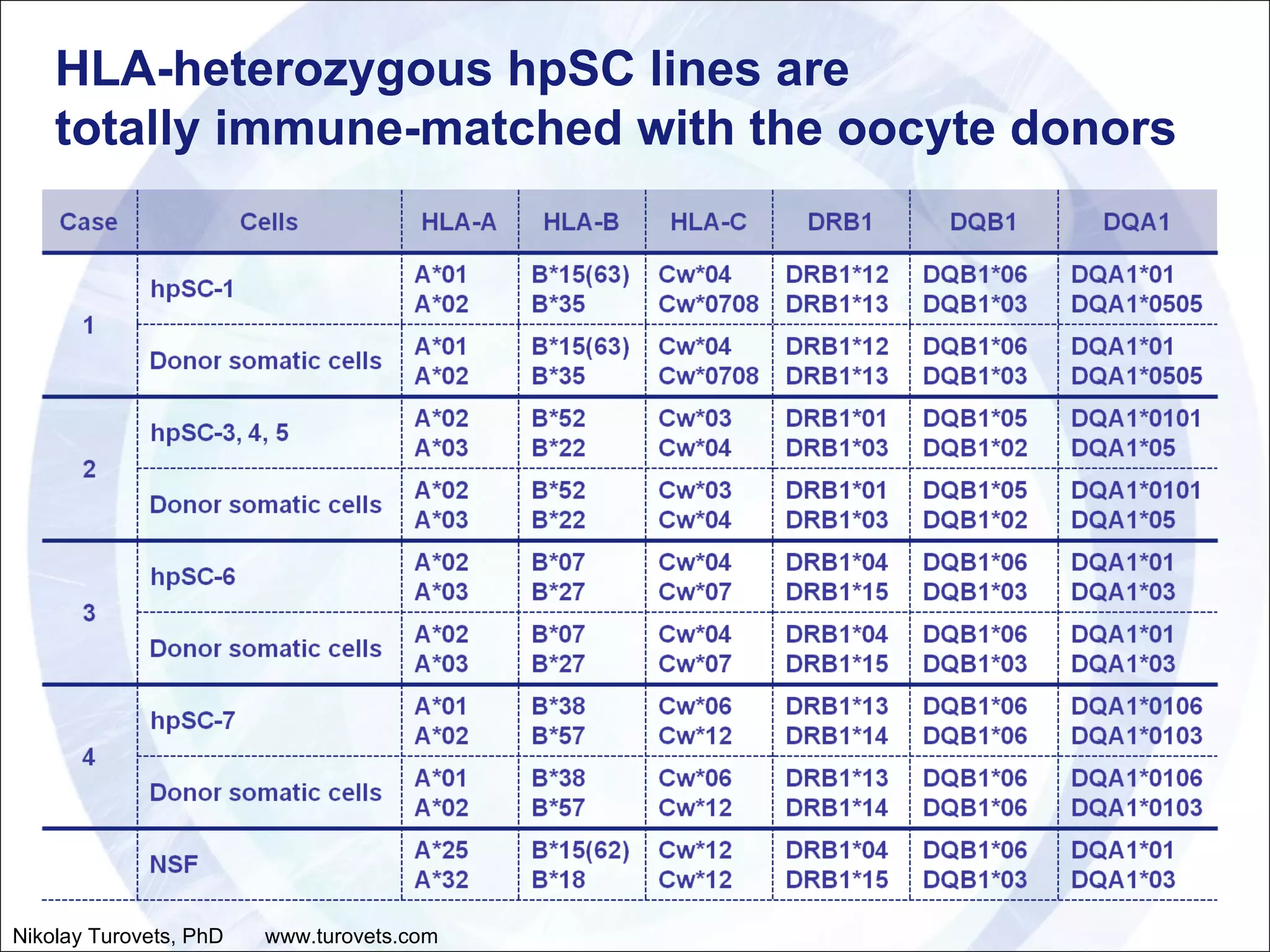 HLA-heterozygous hpSC lines are  totally immune-matched with the oocyte donors Nikolay Turovets, PhD  www.turovets.com 