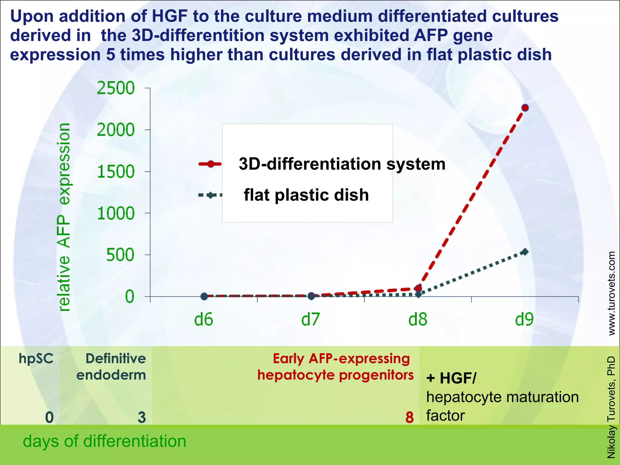 Upon addition of HGF to the culture medium differentiated cultures derived in  the 3D-differentition system exhibited AFP gene expression 5 times higher than cultures derived in flat plastic dish  days of differentiation 3D-differentiation system flat plastic dish Nikolay Turovets, PhD  www.turovets.com hpSC Definitive endoderm Early AFP-expressing  hepatocyte progenitors + HGF/ hepatocyte maturation factor 0 3 8 