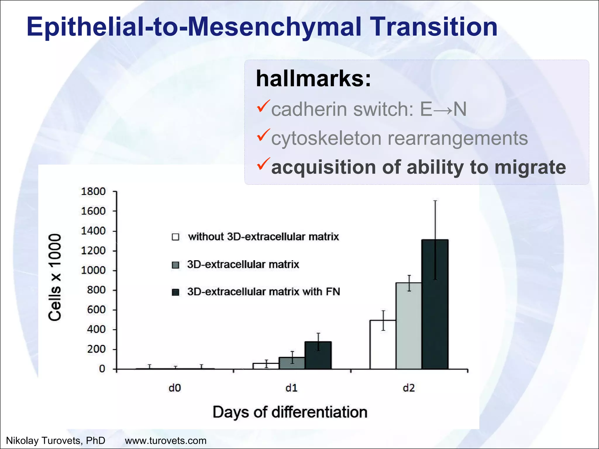 Epithelial-to-Mesenchymal Transition hallmarks: cadherin switch: E->N cytoskeleton rearrangements acquisition of ability to migrate Nikolay Turovets, PhD  www.turovets.com 