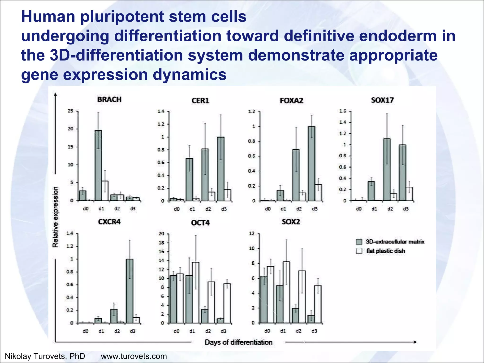 Human pluripotent stem cells  undergoing differentiation toward definitive endoderm in the 3D-differentiation system demonstrate appropriate gene expression dynamics Nikolay Turovets, PhD  www.turovets.com 