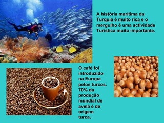O café foi introduzido na Europa pelos turcos. 70% da produção mundial de avelã é de origem turca. A história marítima da Turquia é muito rica e o mergulho é uma actividade Turística muito importante. 