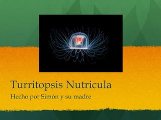 Turritopsis Nutricula
Hecho por Simón y su madre
 