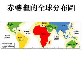 赤 龜的全球分布圖蠵
 